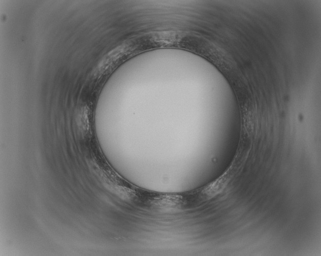 X0000056030128200509021832