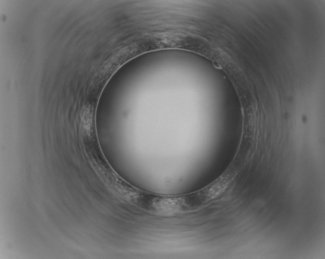 X0000056030129200509021832