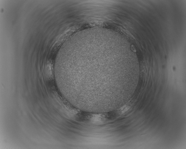 X0000056030130200509021832