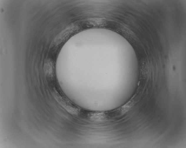 X0000056030132200509021831