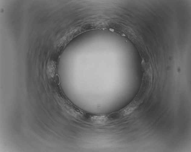 X0000056030133200509021831