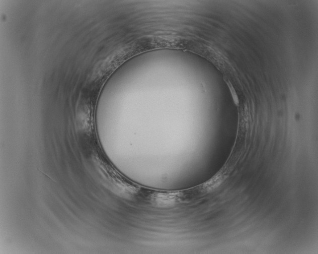 X0000056030134200509021831