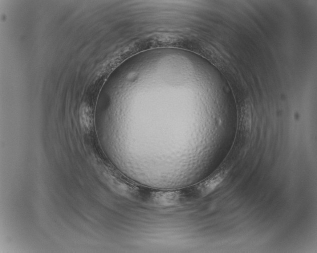 X0000056030135200509021831