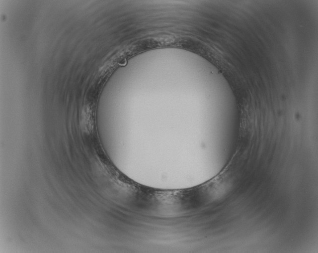 X0000056030136200509021831