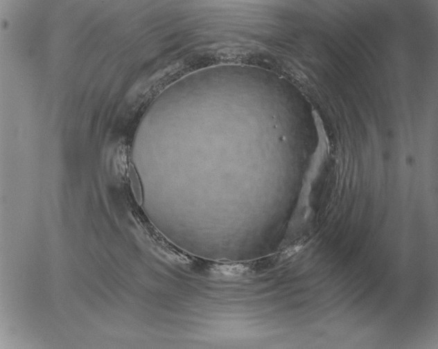 X0000056030137200509021831