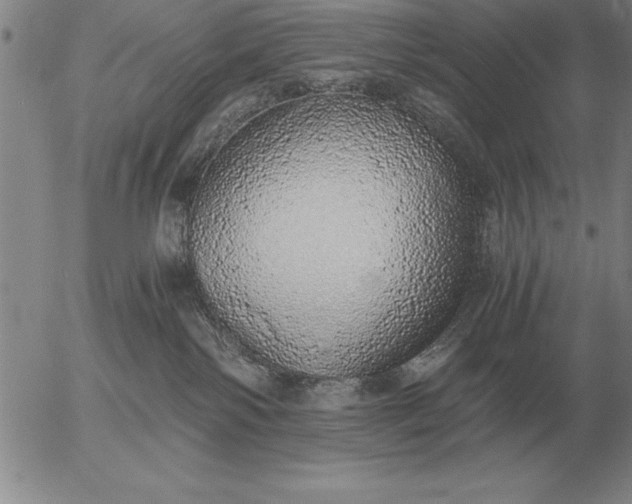 X0000056030138200509021831