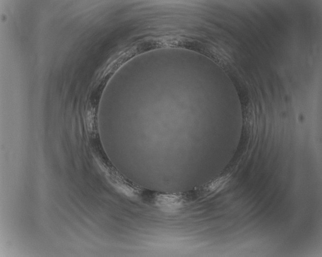 X0000056030139200509021831