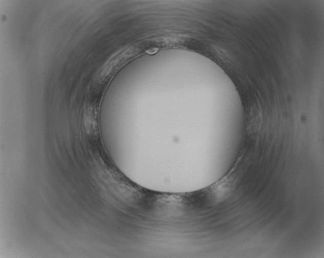 X0000056030140200509021831