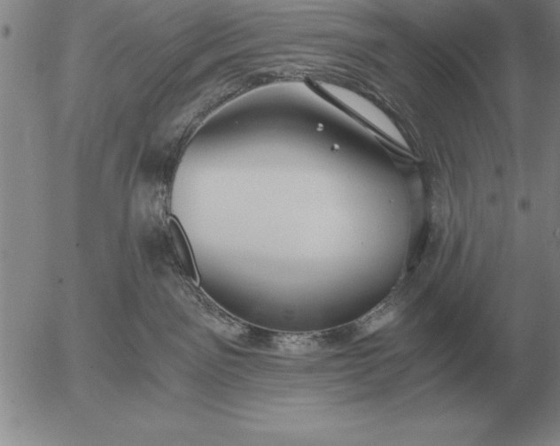 X0000056030141200509021831