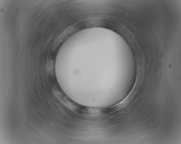 X0000056030144200509021831