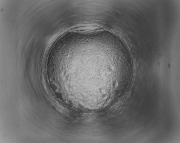 X0000056030145200509021830