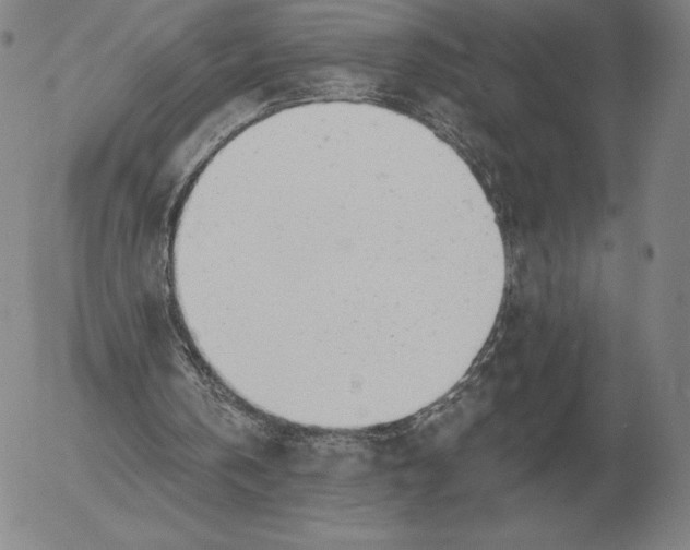 X0000056030146200509021830