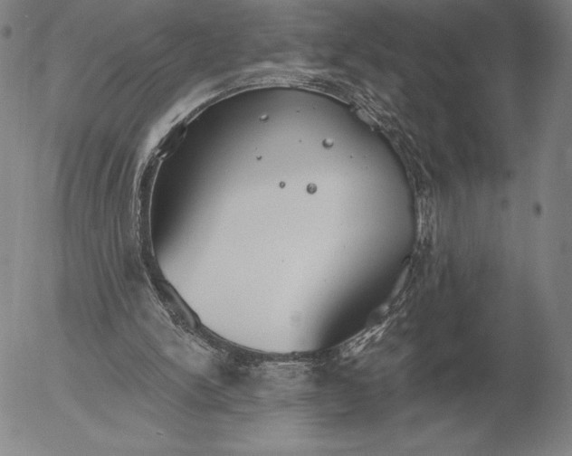 X0000056030150200509021831