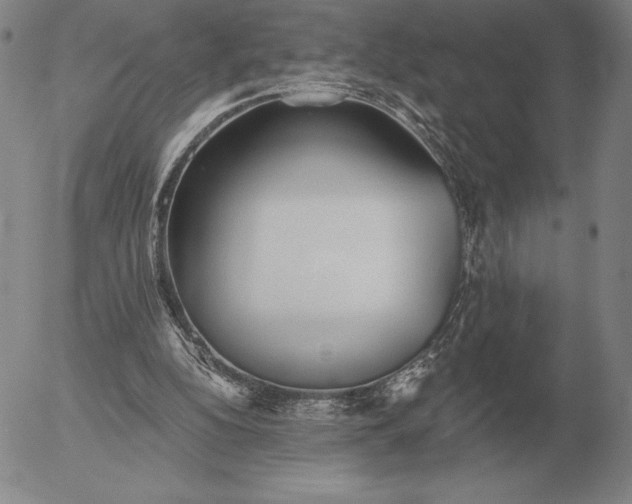 X0000056030152200509021831