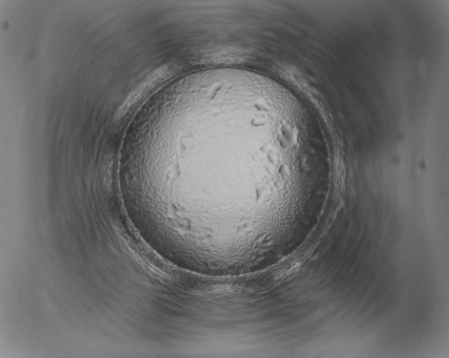 X0000056030153200509021831