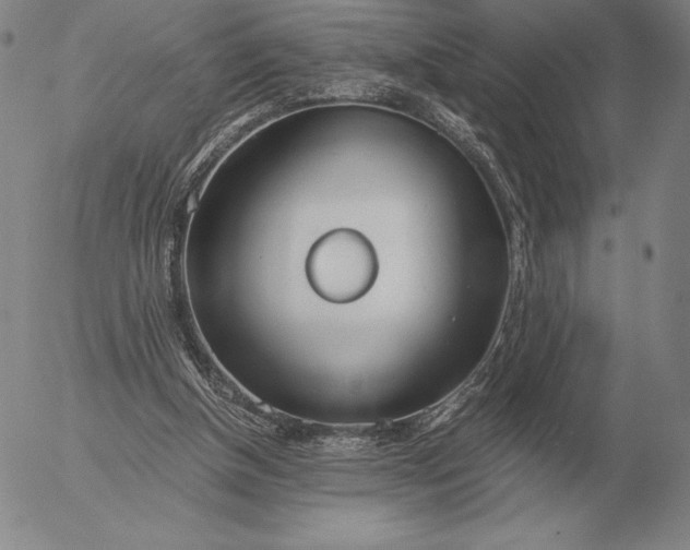 X0000056030154200509021831