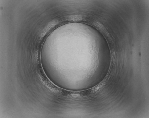 X0000056030159200509021831