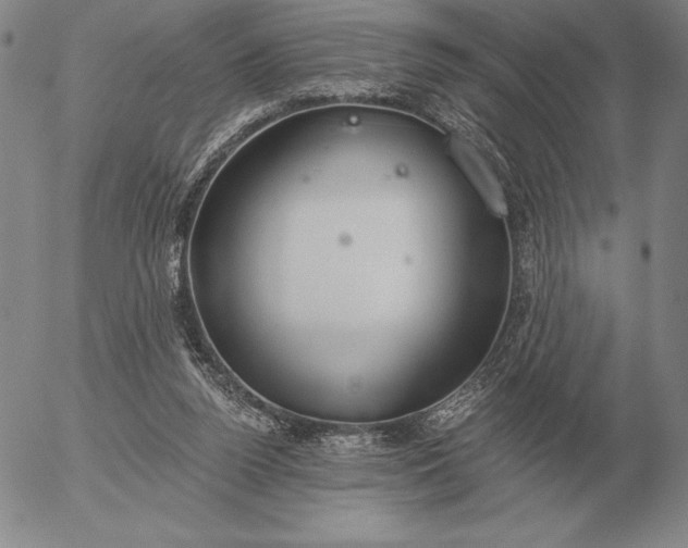 X0000056030160200509021831