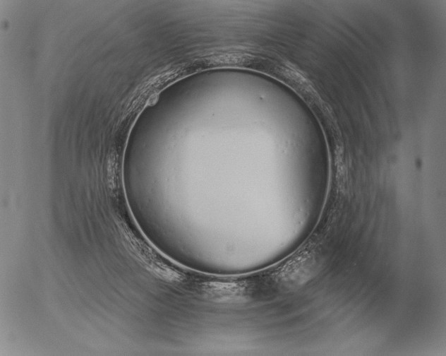 X0000056030161200509021831