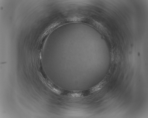 X0000056030163200509021831