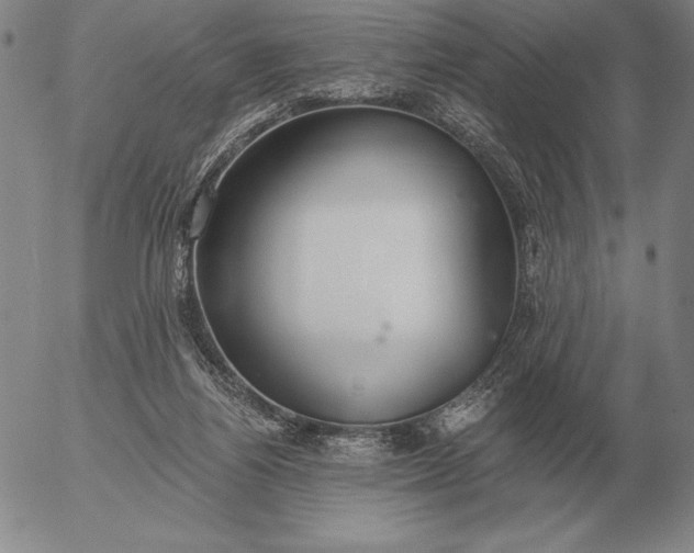 X0000056030164200509021831