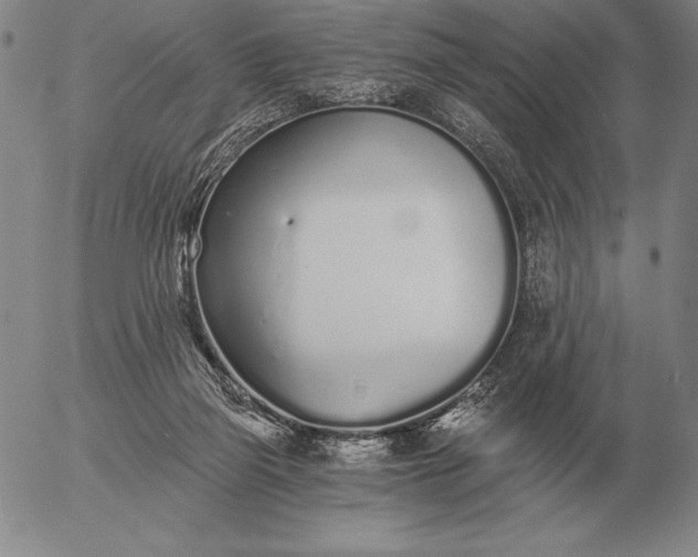 X0000056030165200509021831