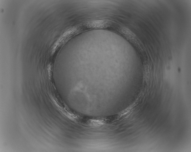 X0000056030167200509021831