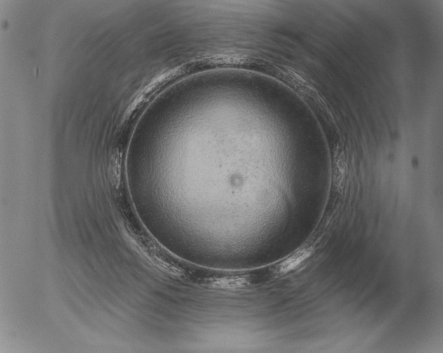 X0000056030168200509021831