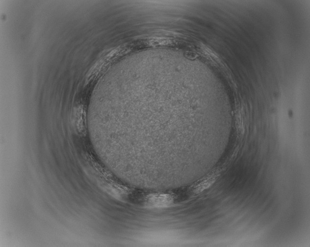 X0000056030169200509021831