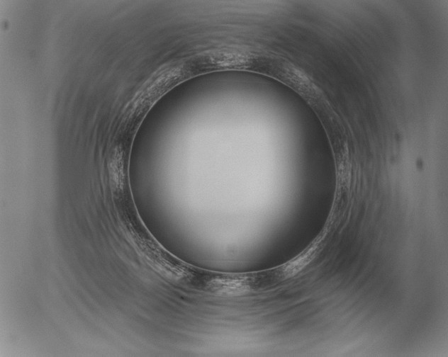 X0000056030170200509021831