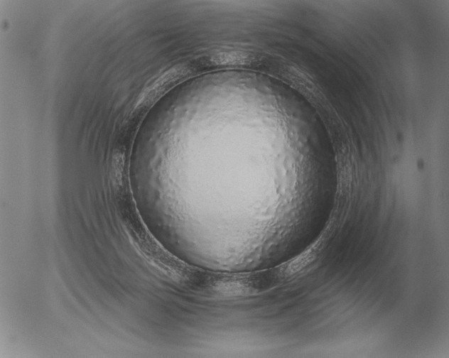 X0000056030171200509021831