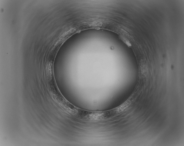 X0000056030172200509021831