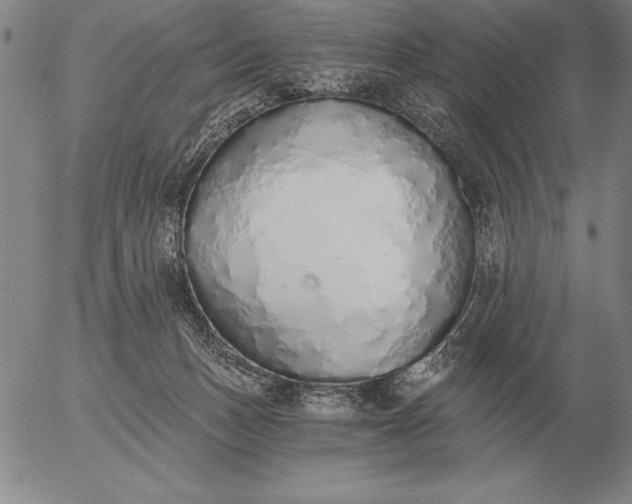 X0000056030175200509021831