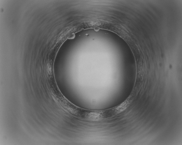 X0000056030176200509021831