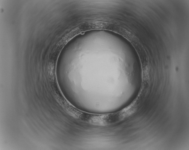 X0000056030178200509021831