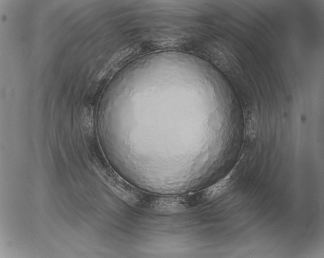 X0000056030179200509021831