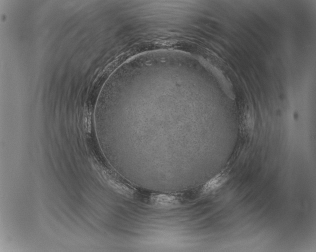 X0000056030180200509021831