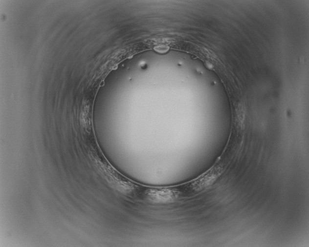 X0000056030181200509021831