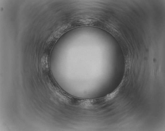 X0000056030182200509021831