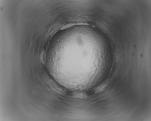 X0000056030185200509021831