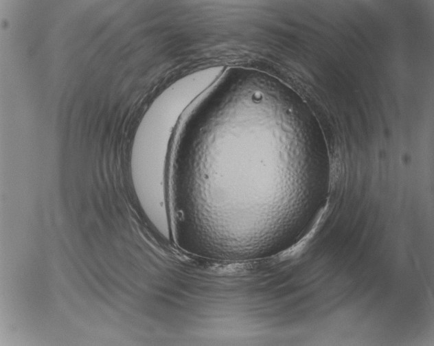 X0000056030186200509021831