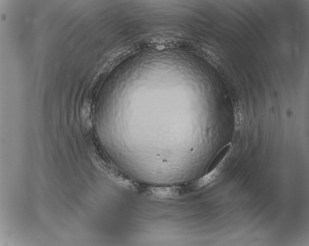 X0000056030187200509021831