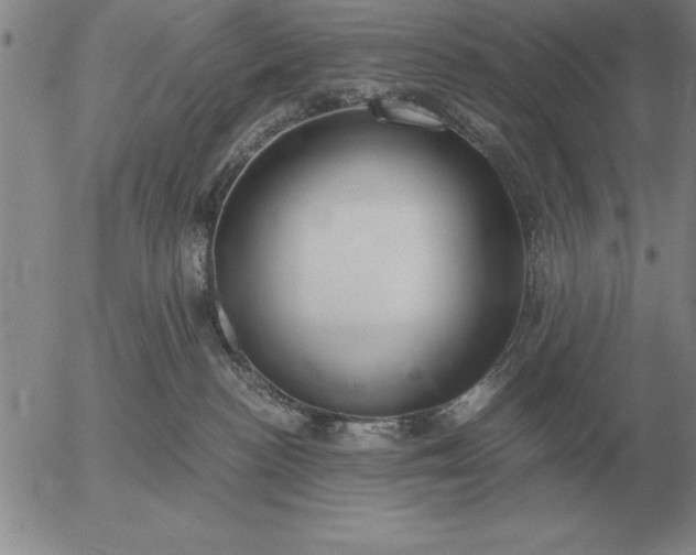 X0000056030188200509021831