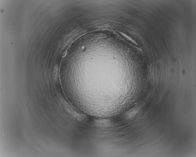 X0000056030189200509021831