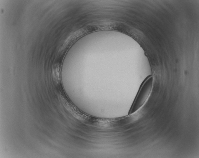 X0000056030190200509021831