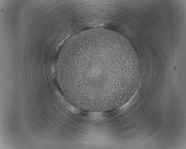 X0000056030192200509021831