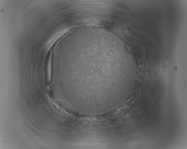 X0000056030194200509021830