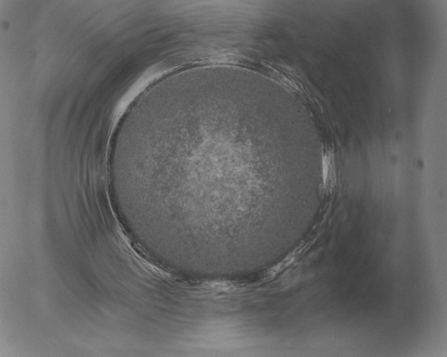 X0000056030195200509021830