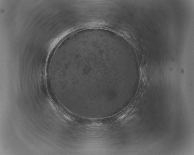 X0000056030196200509021830