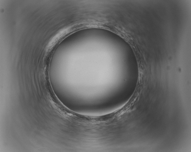 X0000056030197200509021830